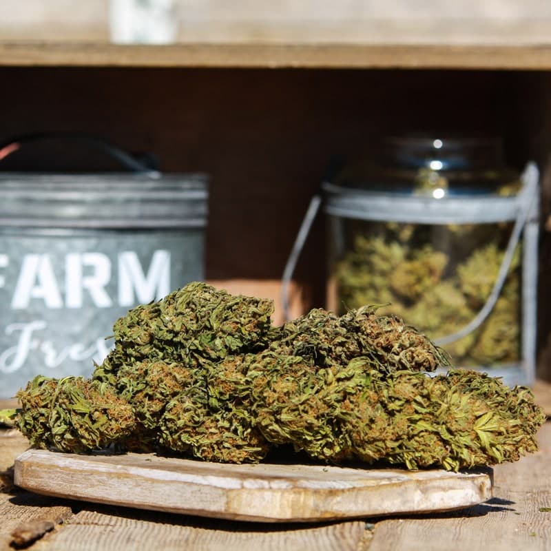 elektra hemp flower