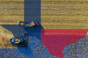Texas Farm Juneteenth