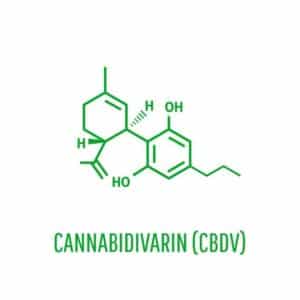 What is CBDv