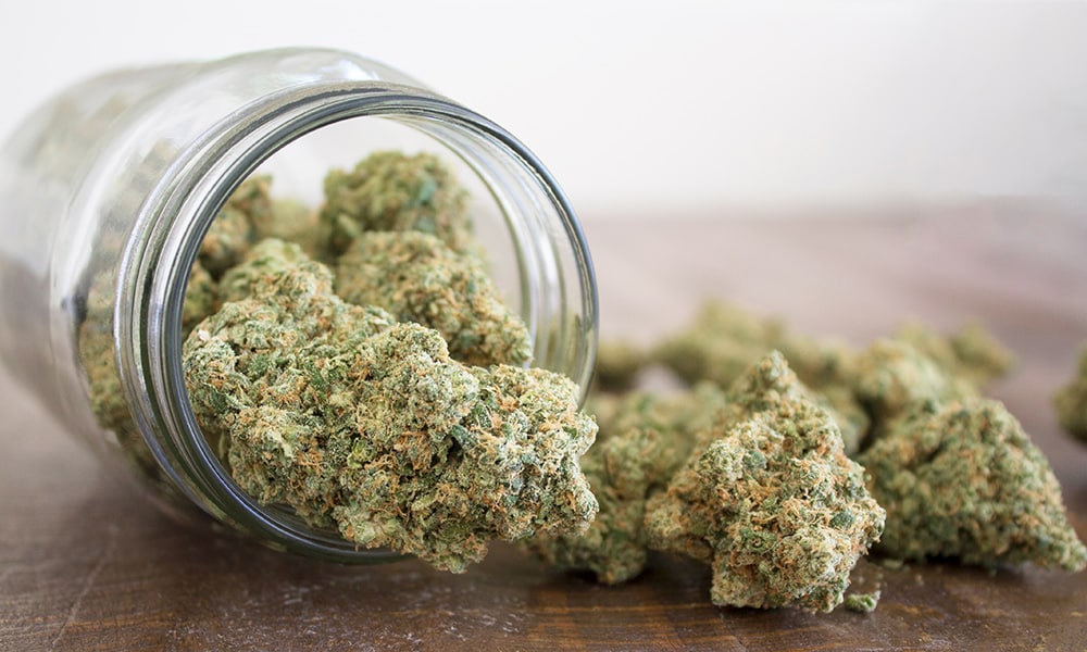 cbd hemp flower