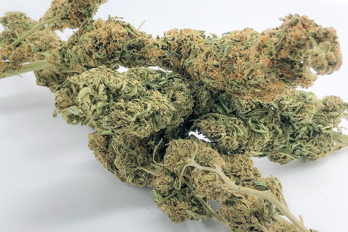 Hot Blonde Hemp Flower