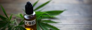 CBD hemp oil