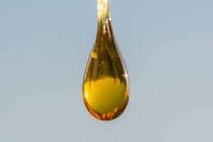 hemp extraction and processing