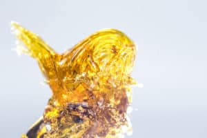 full spectrum whole plant extract
