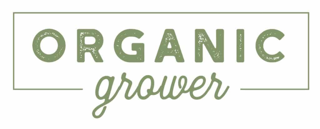 buy best organic CBD pain and inflammation
