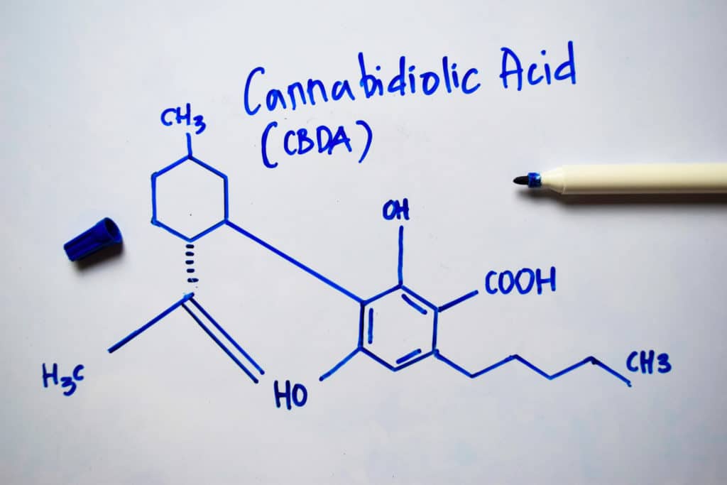 All about CBDa