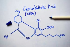 All about CBDa