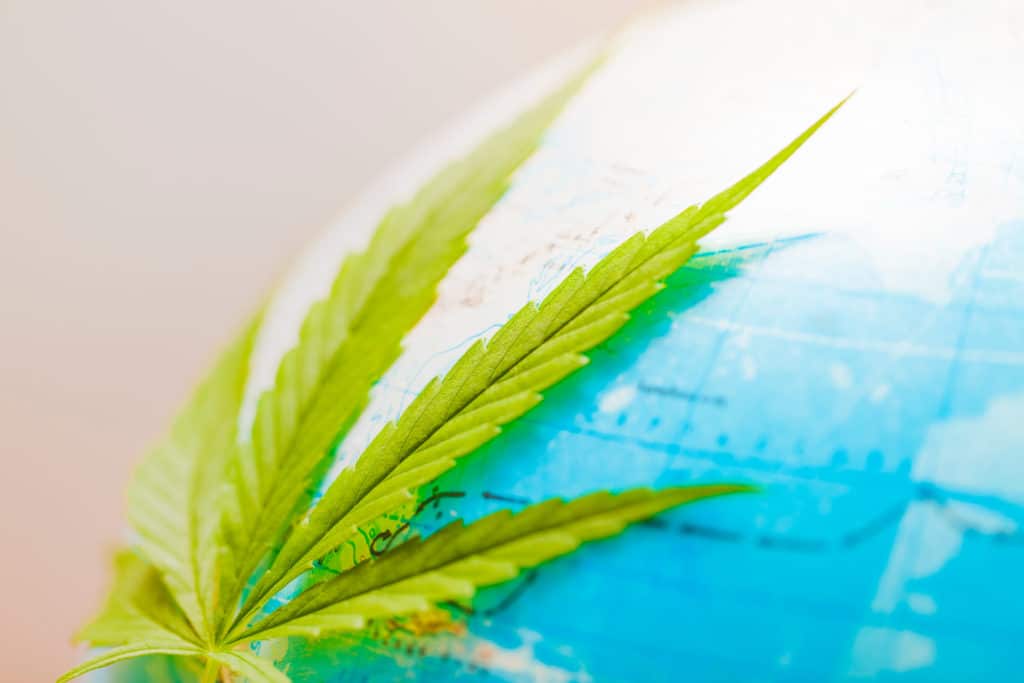how hemp can help the planet
