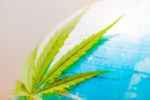 how hemp can help the planet