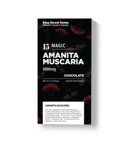 Majestic Amanita - Magic Chocolate