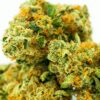 Big Berry White Cannabis